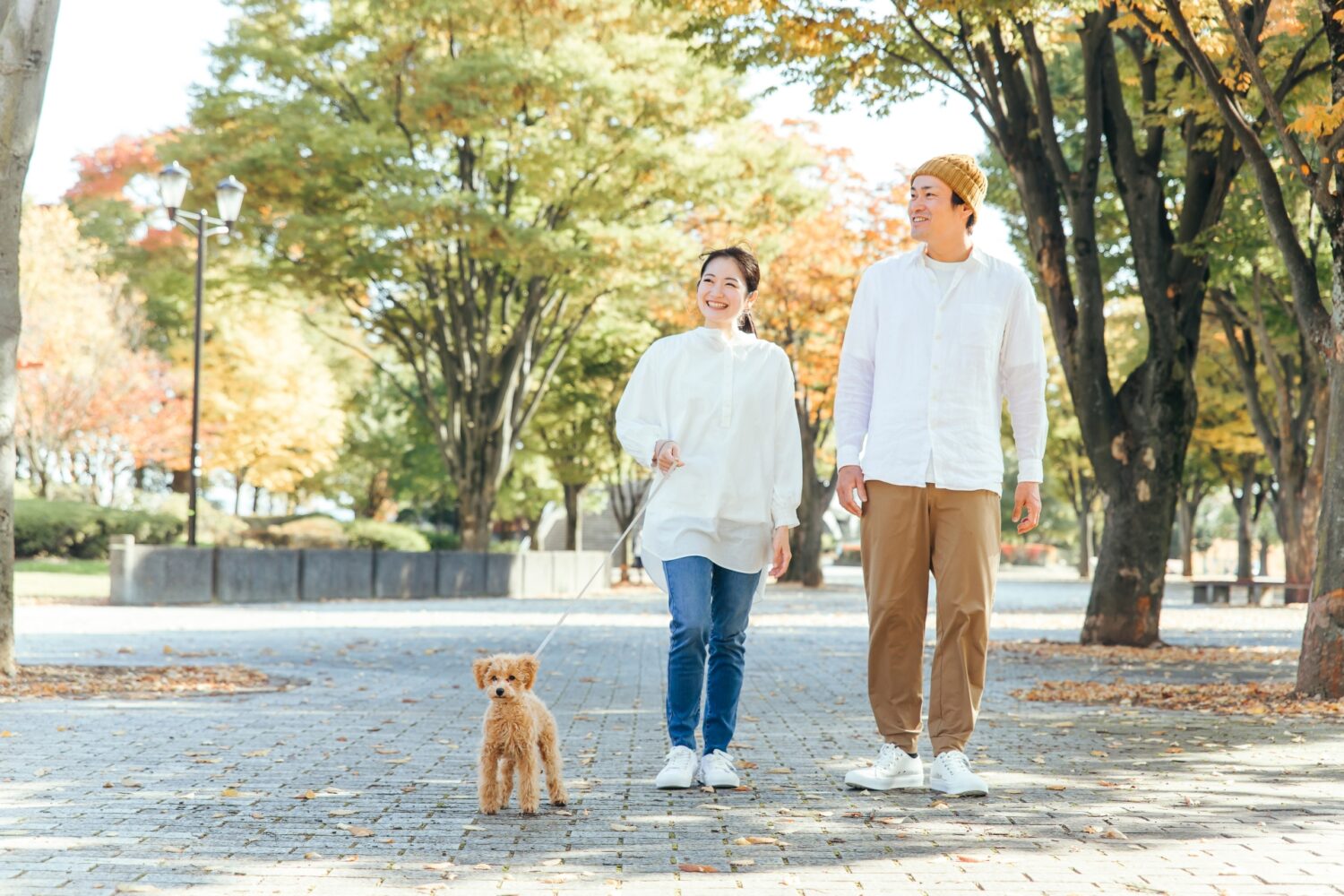 犬の散歩をする夫婦